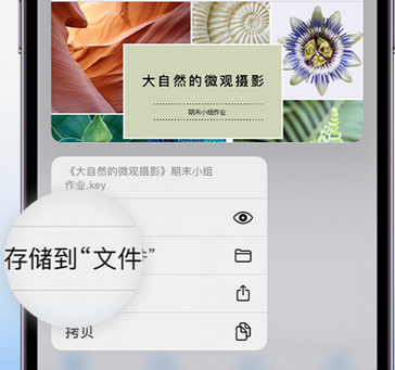 蓟州apple维修中心分享iPhone文件应用中存储和找到下载文件