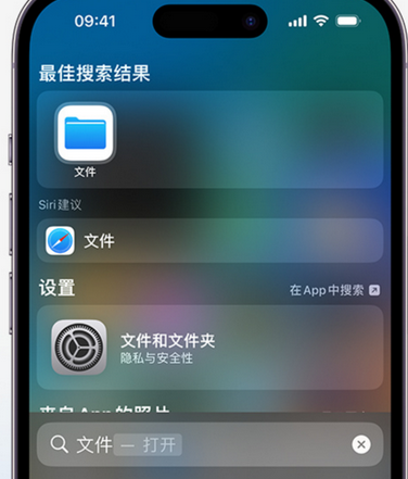 蓟州apple维修中心分享iPhone文件应用中存储和找到下载文件 