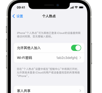 蓟州apple服务站点分享iPhone上个人热点丢失了怎么办 