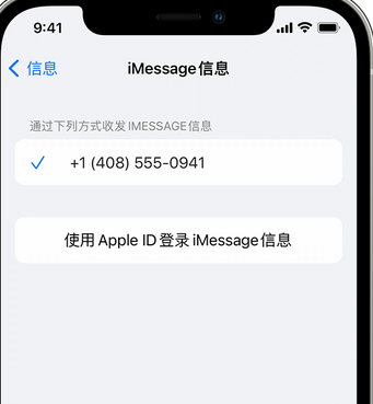 蓟州apple维修iPhone上无法正常发送iMessage信息