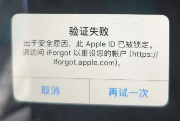 蓟州iPhone维修分享iPhone上正常登录或使用AppleID怎么办 