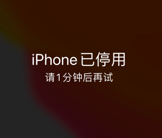 蓟州苹果手机维修分享:iPhone 显示“不可用”或“已停用”怎么办？还能保留数据吗？ 