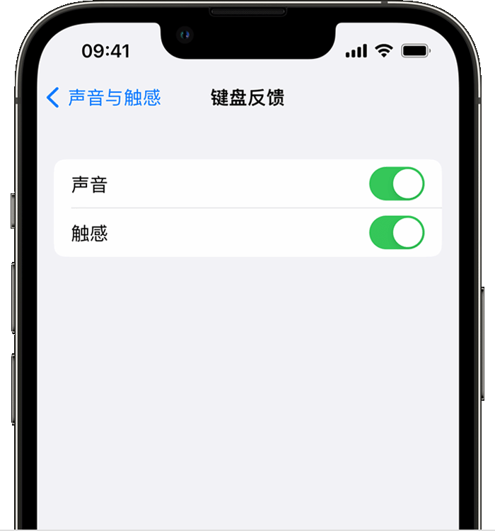 蓟州苹果14维修店分享如何在 iPhone 14 机型中使用触感键盘 