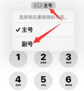 蓟州苹果14维修店分享iPhone 14 Pro Max使用副卡打电话的方法 