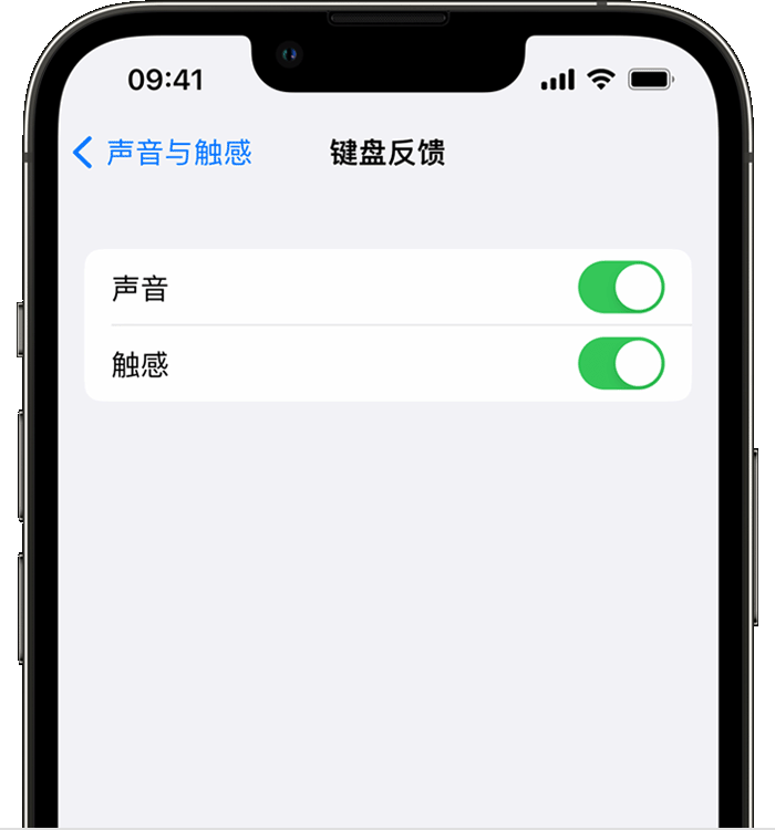 蓟州苹果14维修分享iPhone 14 系列机型如何开启键盘声音或触感反馈 