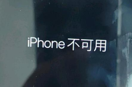 蓟州苹果服务网点分享锁屏界面显示“iPhone 不可用”如何解决 