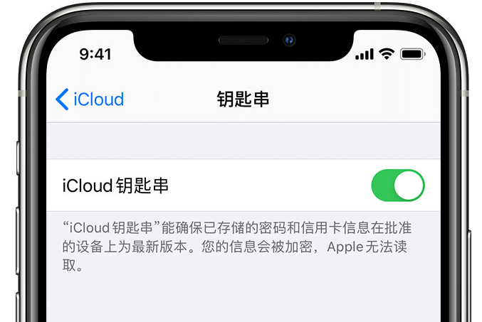 蓟州苹果手机维修分享在 iPhone 上开启 iCloud 钥匙串之后会储存哪些信息 