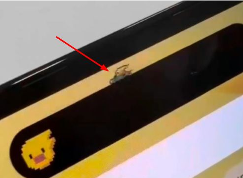 蓟州苹果14维修分享iPhone 14 Pro Max灵动岛怎么养宠物 