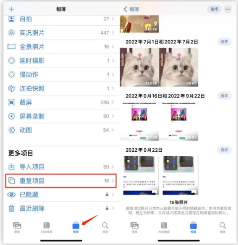 蓟州苹果手机维修分享iOS 16 中相册重复项目功能使用方法 