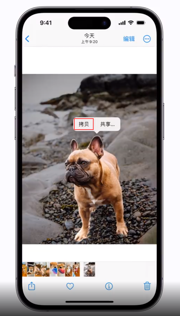 蓟州苹果手机维修分享 iOS 16 自带一键抠图功能 