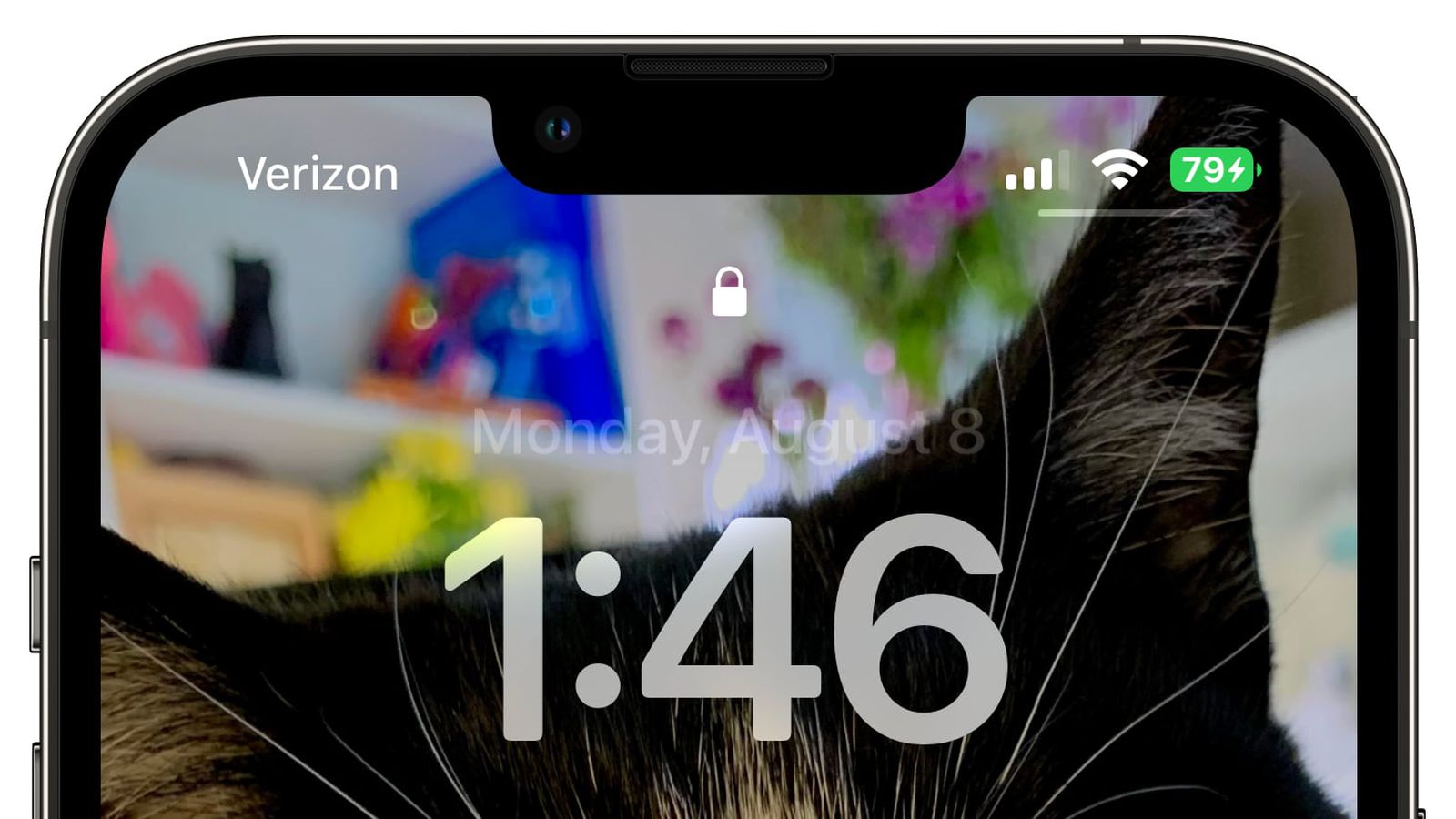 蓟州苹果手机维修分享iOS 16 beta 5 支持状态栏显示电池百分比，如何开启？支持哪些机型 