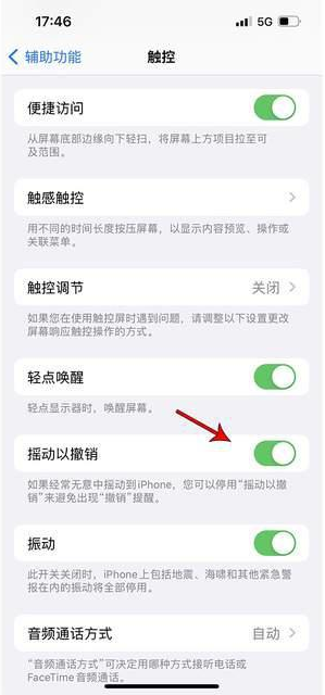 蓟州苹果手机维修分享iPhone手机如何设置摇一摇删除文字 