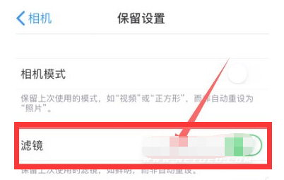 蓟州苹果13维修分享iPhone13拍照有绿点是怎么回事 