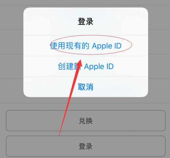 蓟州苹果手机维修分享两台iPhone设备可以同时登录一个Apple ID吗 