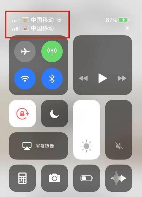 蓟州苹果手机维修分享为 iPhone 12 双卡设置标签 