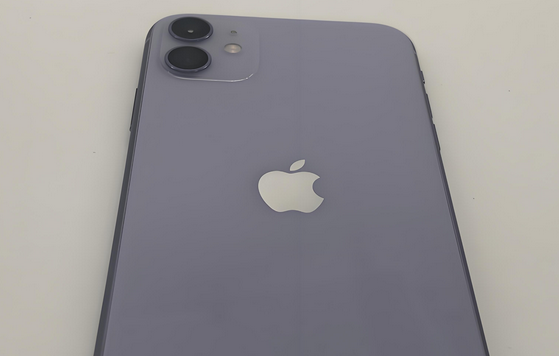 蓟州苹果11系统维修分享iPhone11手机系统崩溃无法开机如何解决 